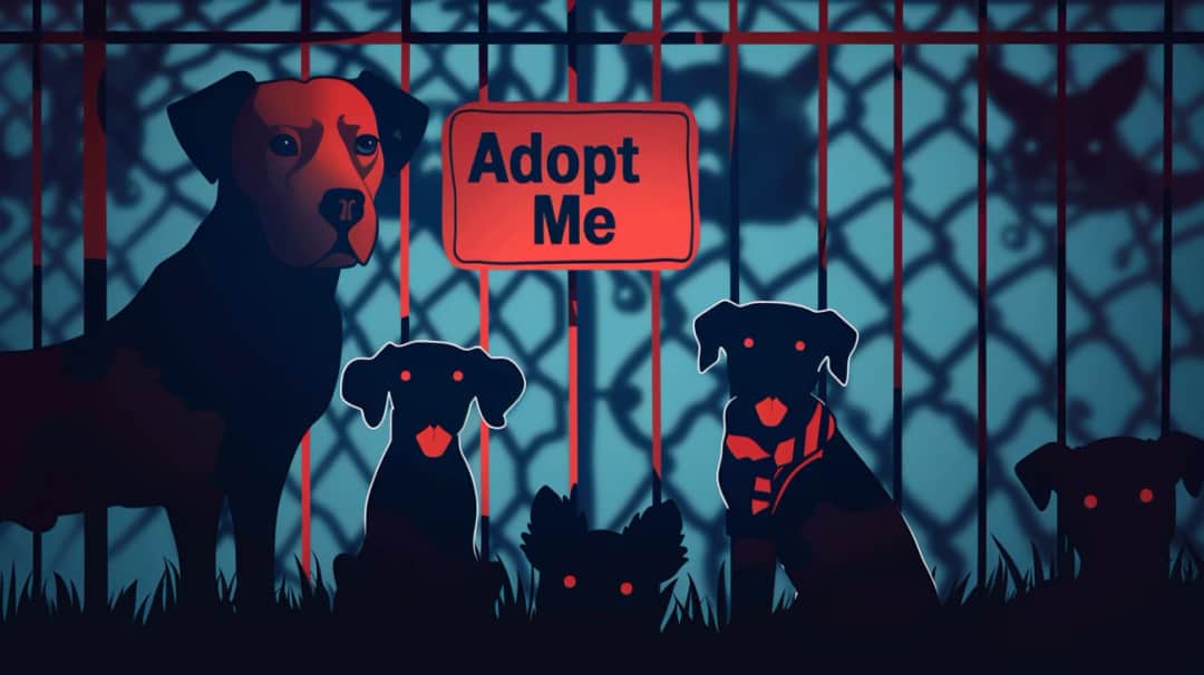 Coraz więcej osób w Wielkiej Brytanii porzuca psy. Częste rasy bez domu.